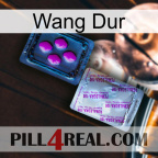 Hard Wang 37